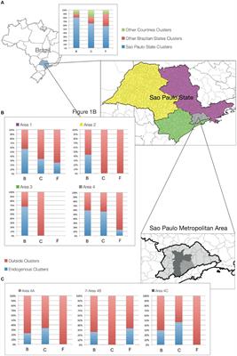 Dynamics and features of transmission clusters of HIV-1 subtypes in the state of São Paulo, Brazil